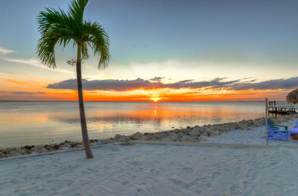 441-Waterfront, Amazing Views, Wifi, Pool And Close To Bucs Stadium Tampa Kültér fotó