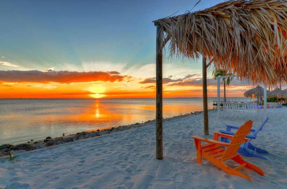 441-Waterfront, Amazing Views, Wifi, Pool And Close To Bucs Stadium Tampa Kültér fotó
